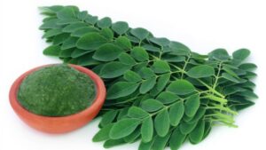 List of 300 Diseases Moringa Cures