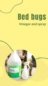 Home Remedies for Bed Bugs with Vinegar: An Effective Solution