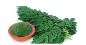 List of 300 Diseases Moringa Cures