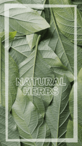 Good Herbs for Health: Boosting Your Well-Being Naturally