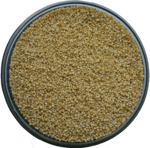 The Remarkable Health Benefits of Various Types of Millets