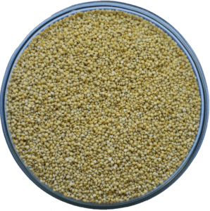 The Remarkable Health Benefits of Various Types of Millets