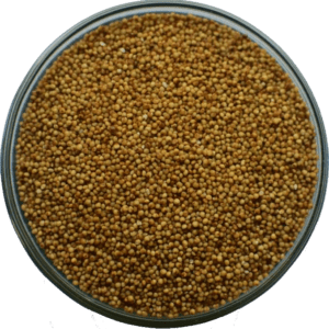 The Remarkable Health Benefits of Various Types of Millets