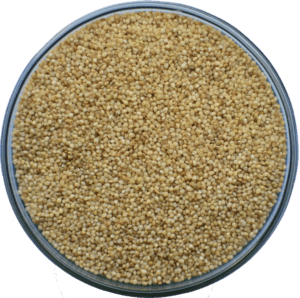 The Remarkable Health Benefits of Various Types of Millets